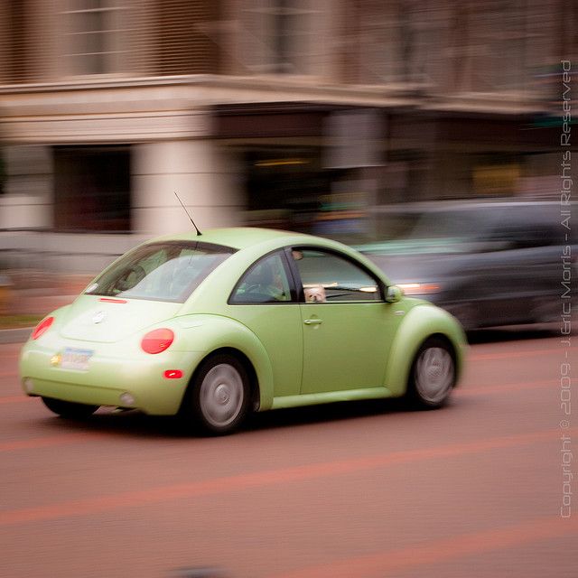 Detail Lime Green Slug Bug Nomer 8