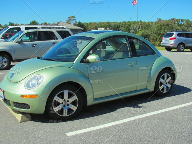 Detail Lime Green Slug Bug Nomer 10