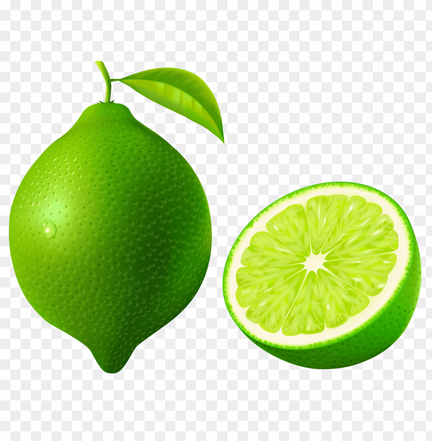 Detail Lime Transparent Nomer 17