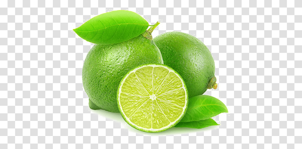 Detail Lime Transparent Background Nomer 40