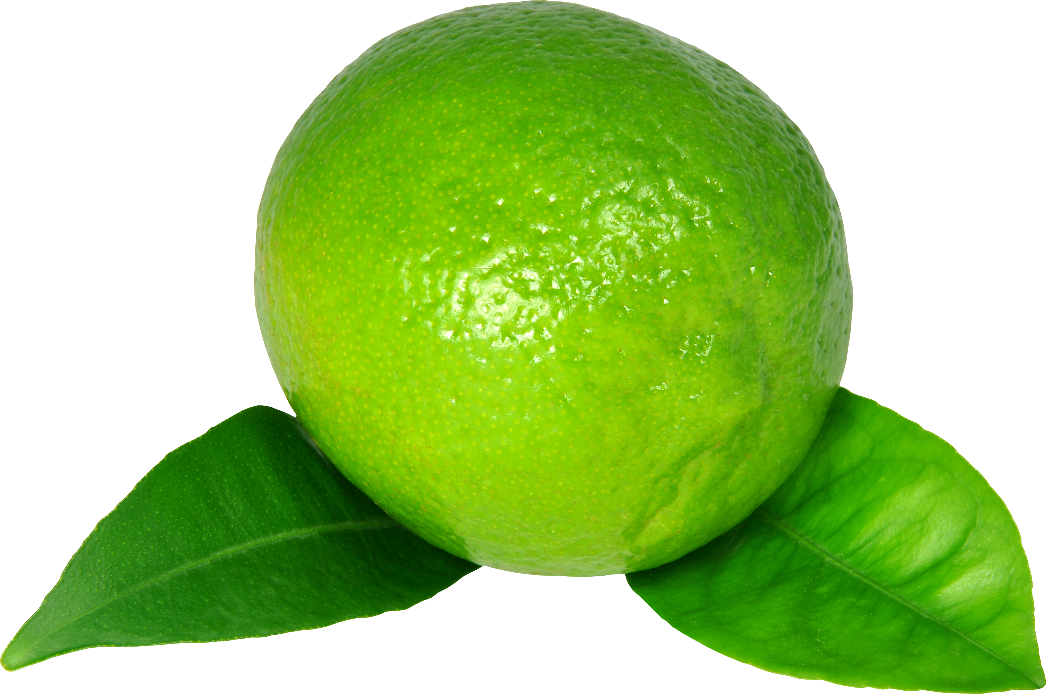 Detail Lime Transparent Background Nomer 47
