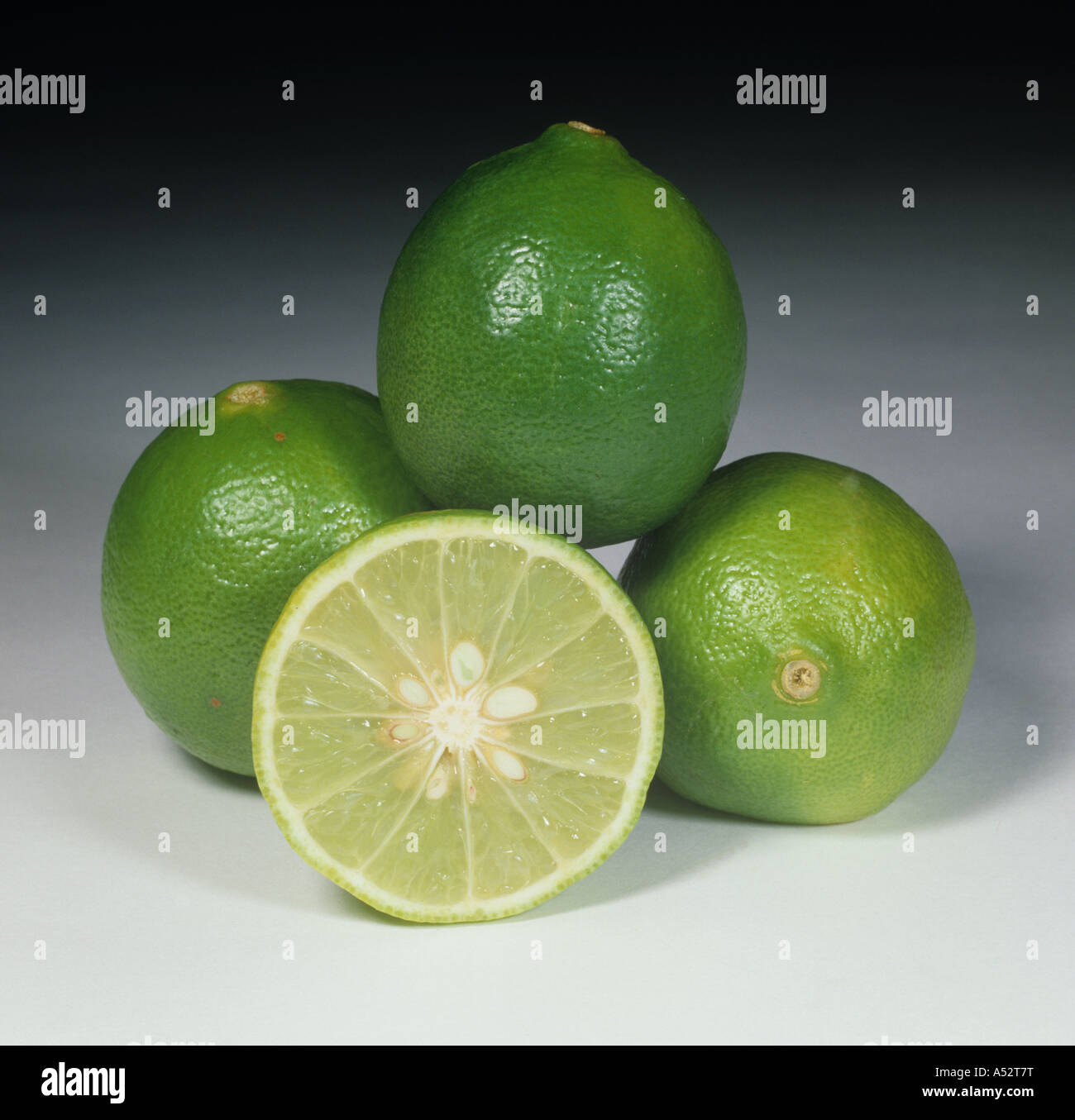 Detail Lime Varieties Pictures Nomer 29