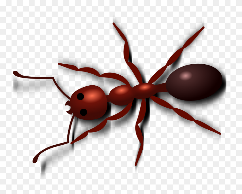 Detail Line Of Ants Clipart Nomer 16