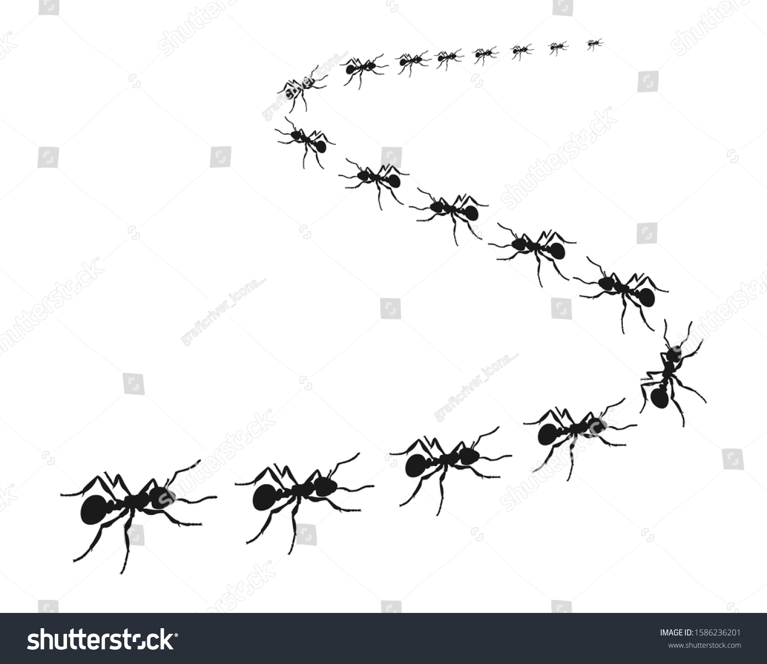 Detail Line Of Ants Clipart Nomer 18