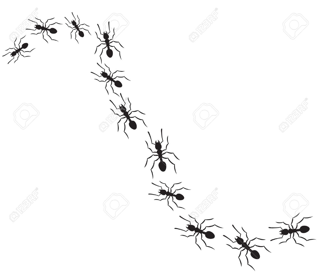 Detail Line Of Ants Clipart Nomer 21