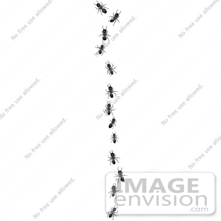 Detail Line Of Ants Clipart Nomer 25