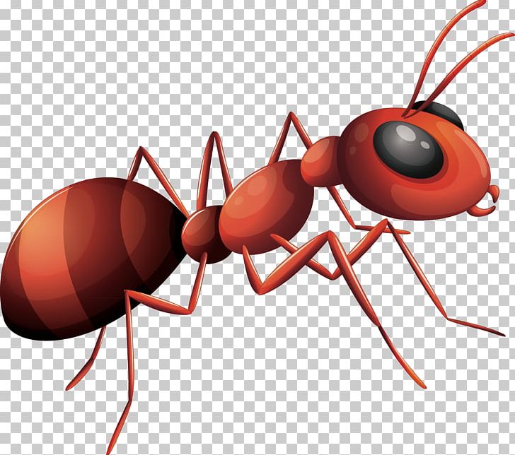 Detail Line Of Ants Clipart Nomer 31