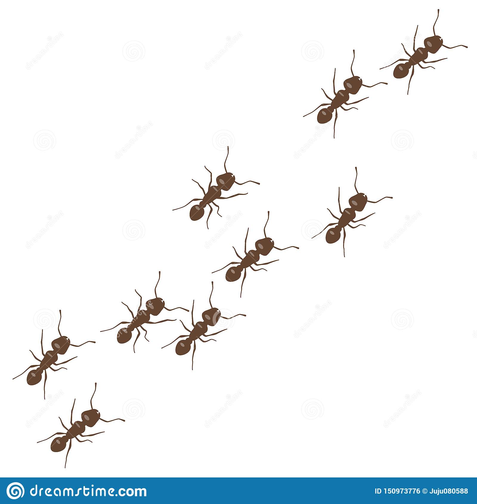 Detail Line Of Ants Clipart Nomer 44