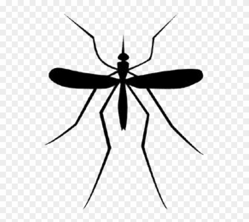 Detail Mosquito Clip Art Free Nomer 16