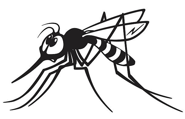 Detail Mosquito Clipart Nomer 15