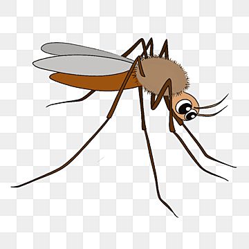 Detail Mosquito Clipart Nomer 22