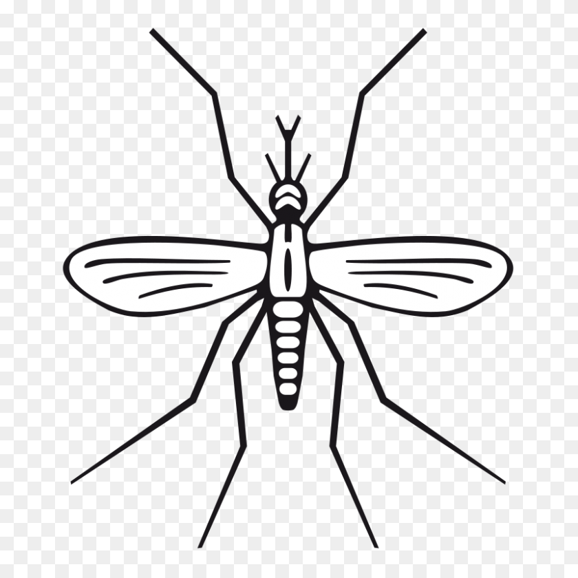 Detail Mosquito Clipart Nomer 30