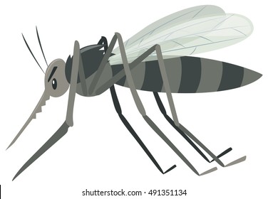 Detail Mosquito Clipart Nomer 8