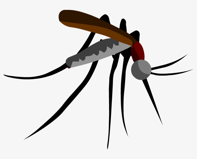 Detail Mosquito Clipart Black And White Nomer 35