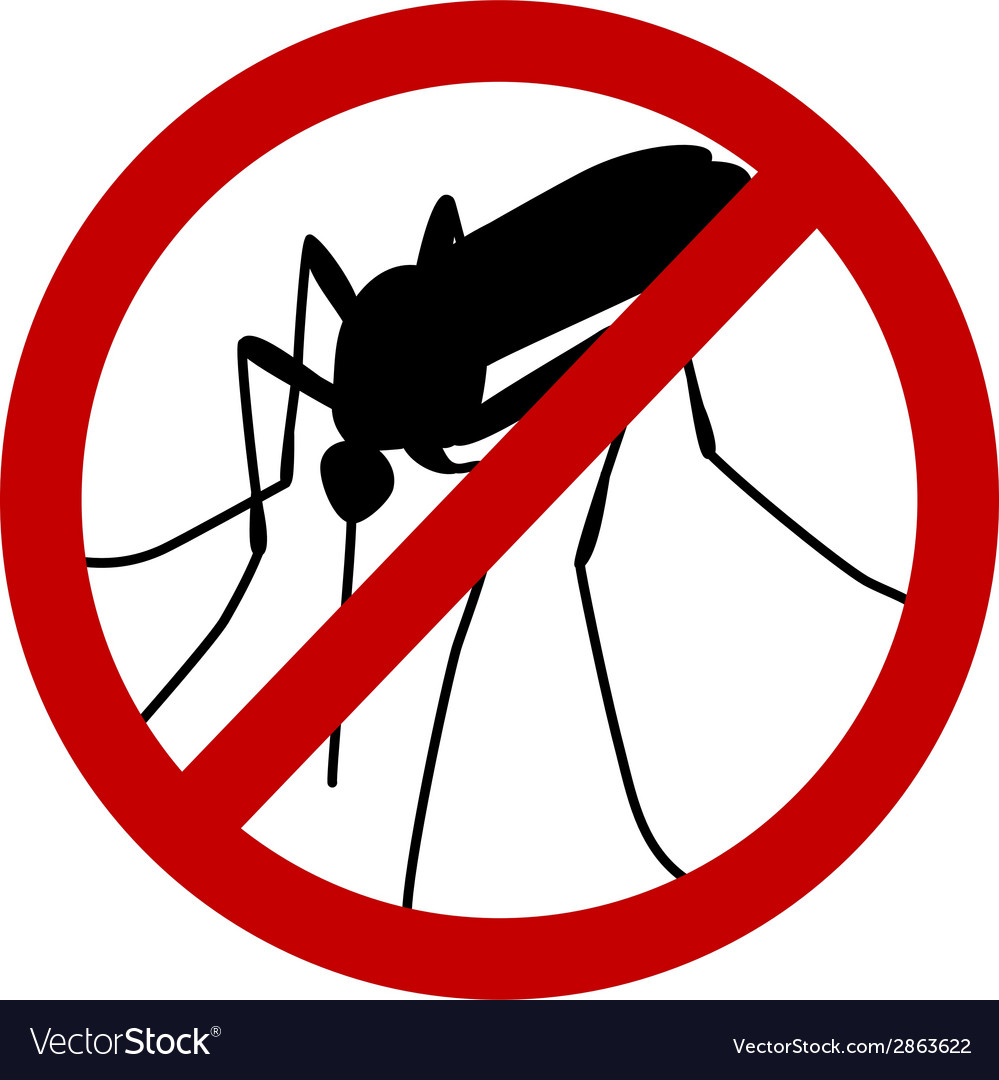 Detail Mosquito Images Free Nomer 30