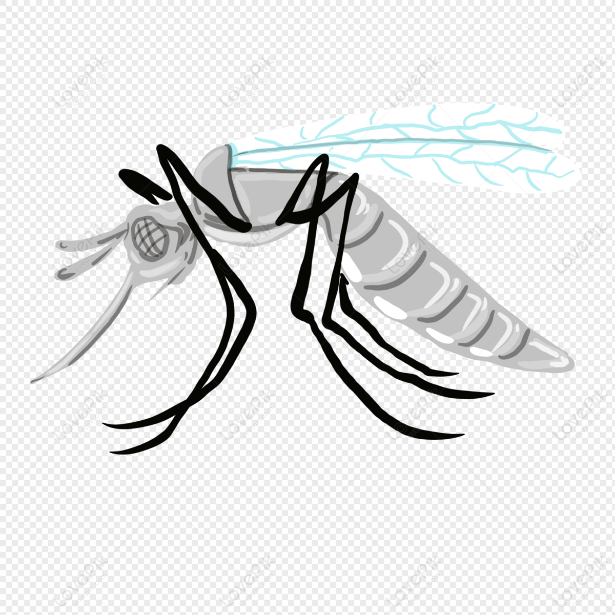 Detail Mosquito Png Nomer 32