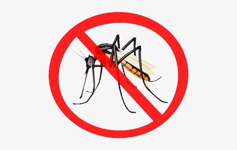 Detail Mosquito Png Nomer 42