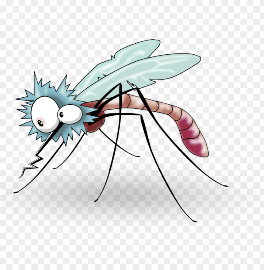 Detail Mosquito Png Nomer 45