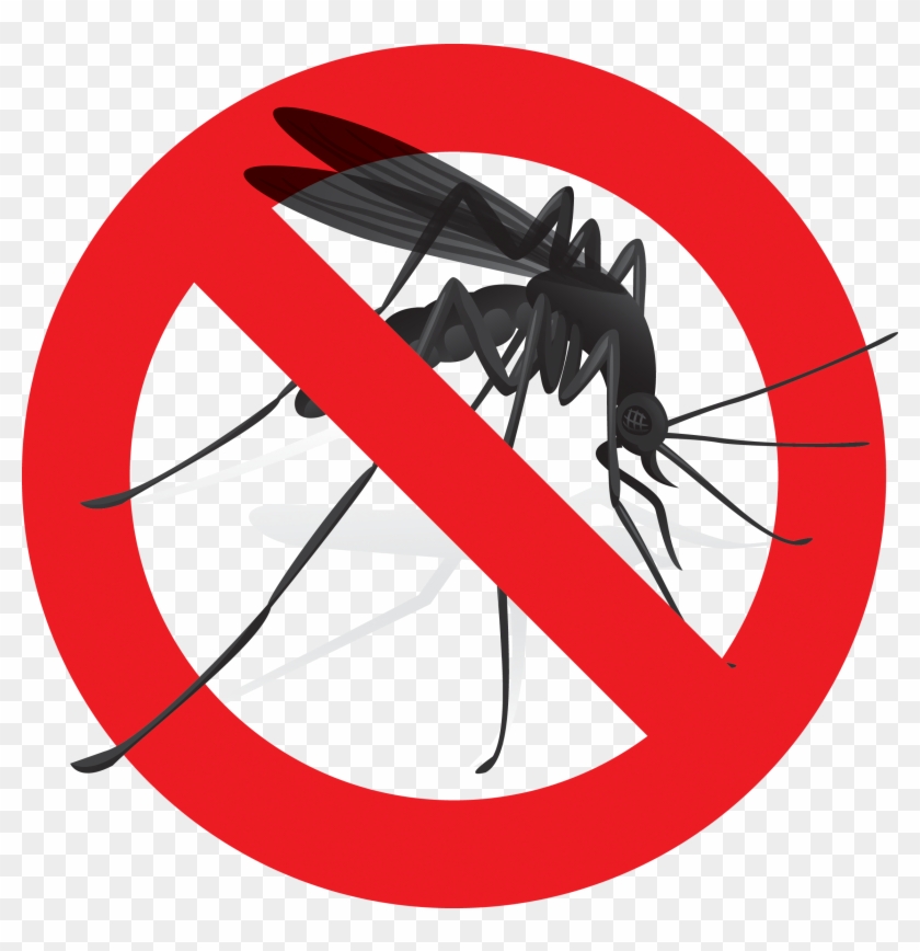 Detail Mosquito Png Nomer 47