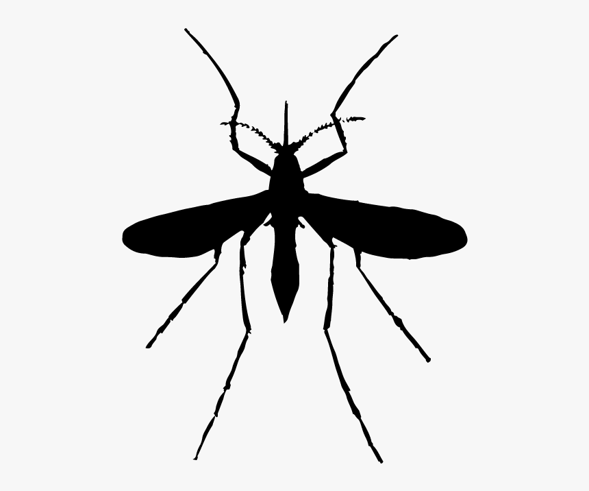 Mosquito Silhouette Png - KibrisPDR