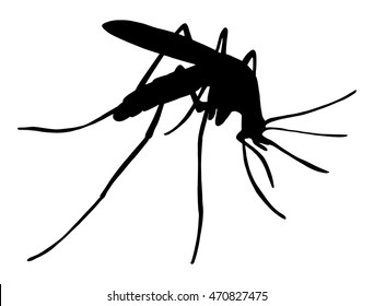 Detail Mosquito Silhouette Png Nomer 9