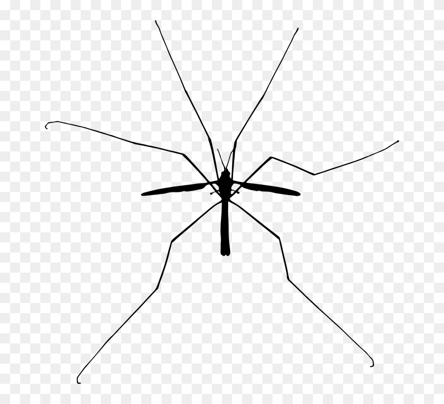 Detail Mosquito Silhouette Png Nomer 19