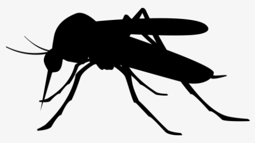 Detail Mosquito Silhouette Png Nomer 23