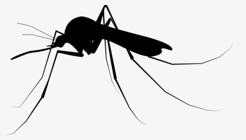 Detail Mosquito Silhouette Png Nomer 29
