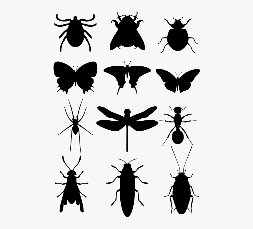 Detail Mosquito Silhouette Png Nomer 31