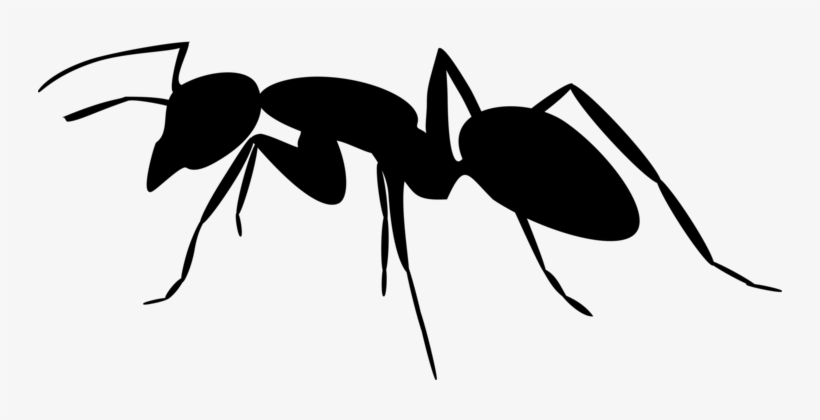 Detail Mosquito Silhouette Png Nomer 33