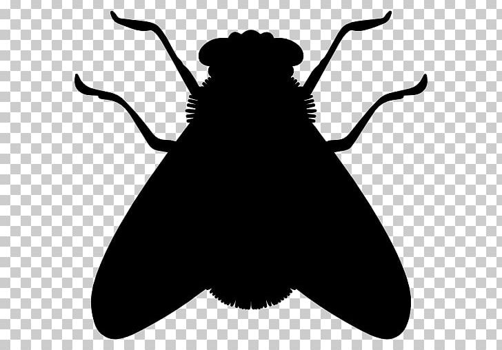 Detail Mosquito Silhouette Png Nomer 40