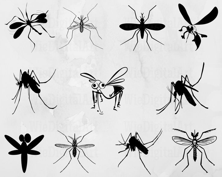 Detail Mosquito Silhouette Png Nomer 42