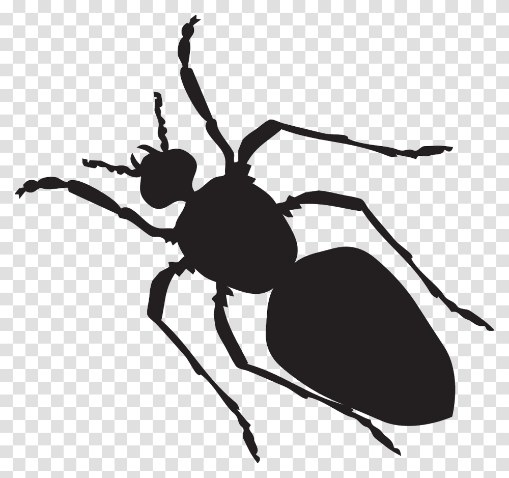 Detail Mosquito Silhouette Png Nomer 43