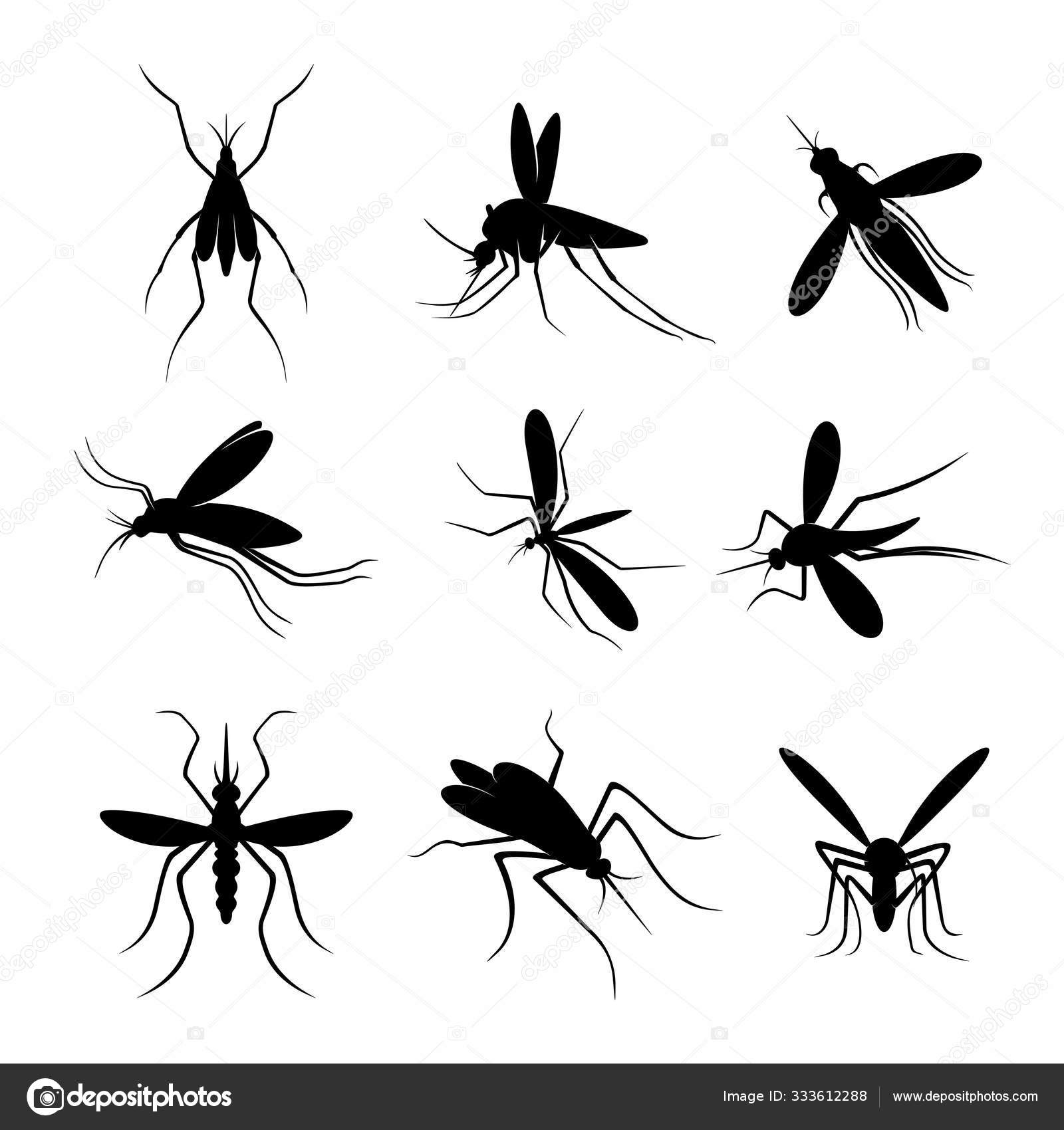 Detail Mosquito Silhouette Png Nomer 46