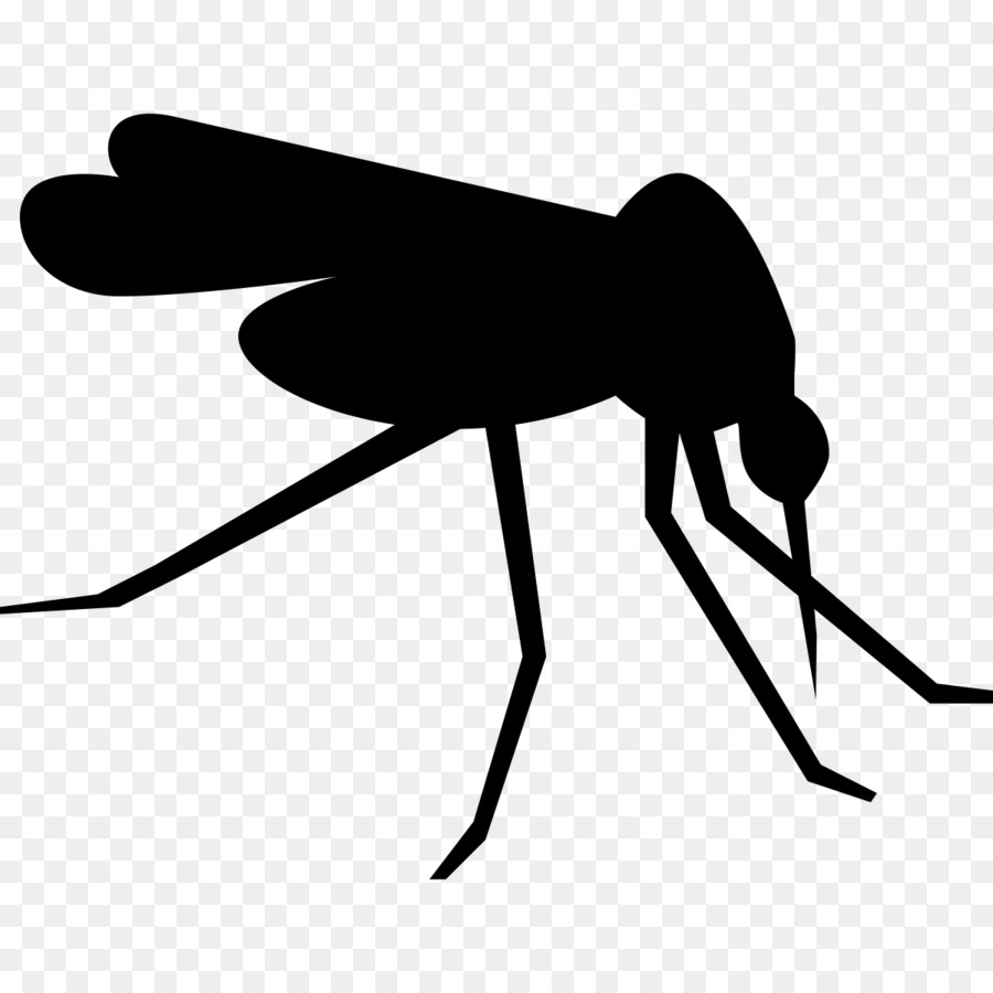 Detail Mosquito Silhouette Png Nomer 6