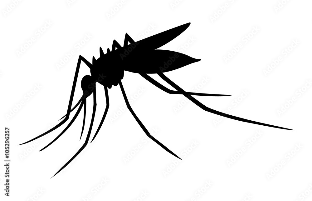 Detail Mosquito Silhouette Png Nomer 7