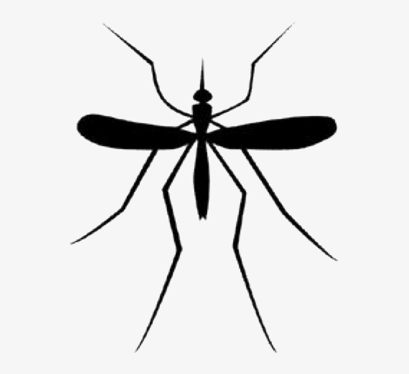 Detail Mosquito Silhouette Png Nomer 8