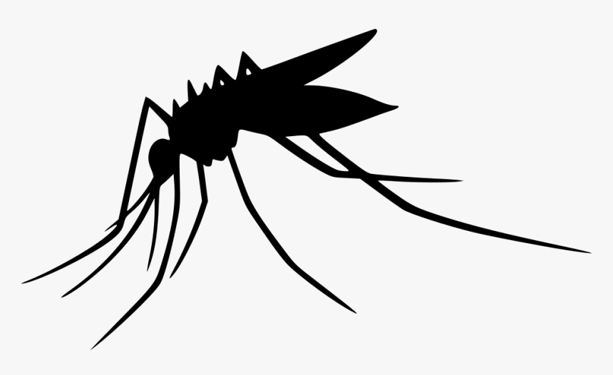 Detail Mosquito Transparent Background Nomer 17