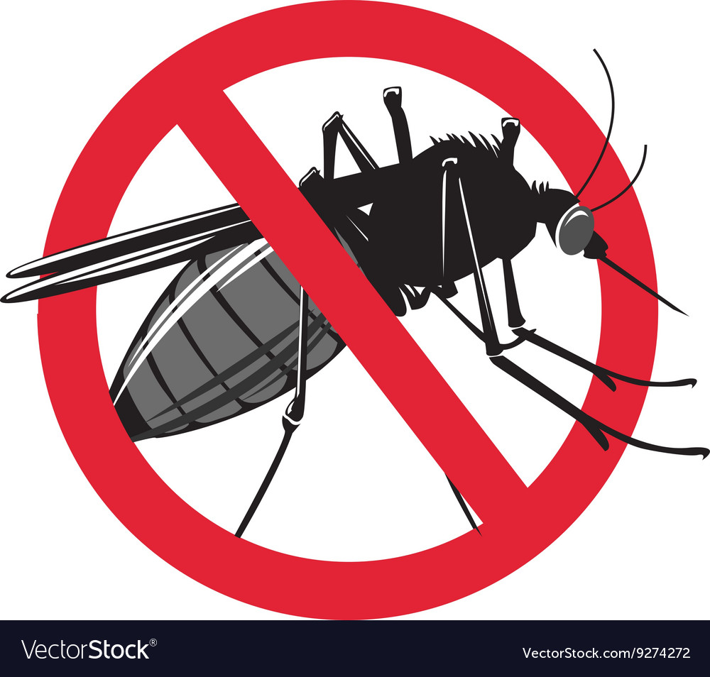 Detail Mosquito Transparent Background Nomer 36