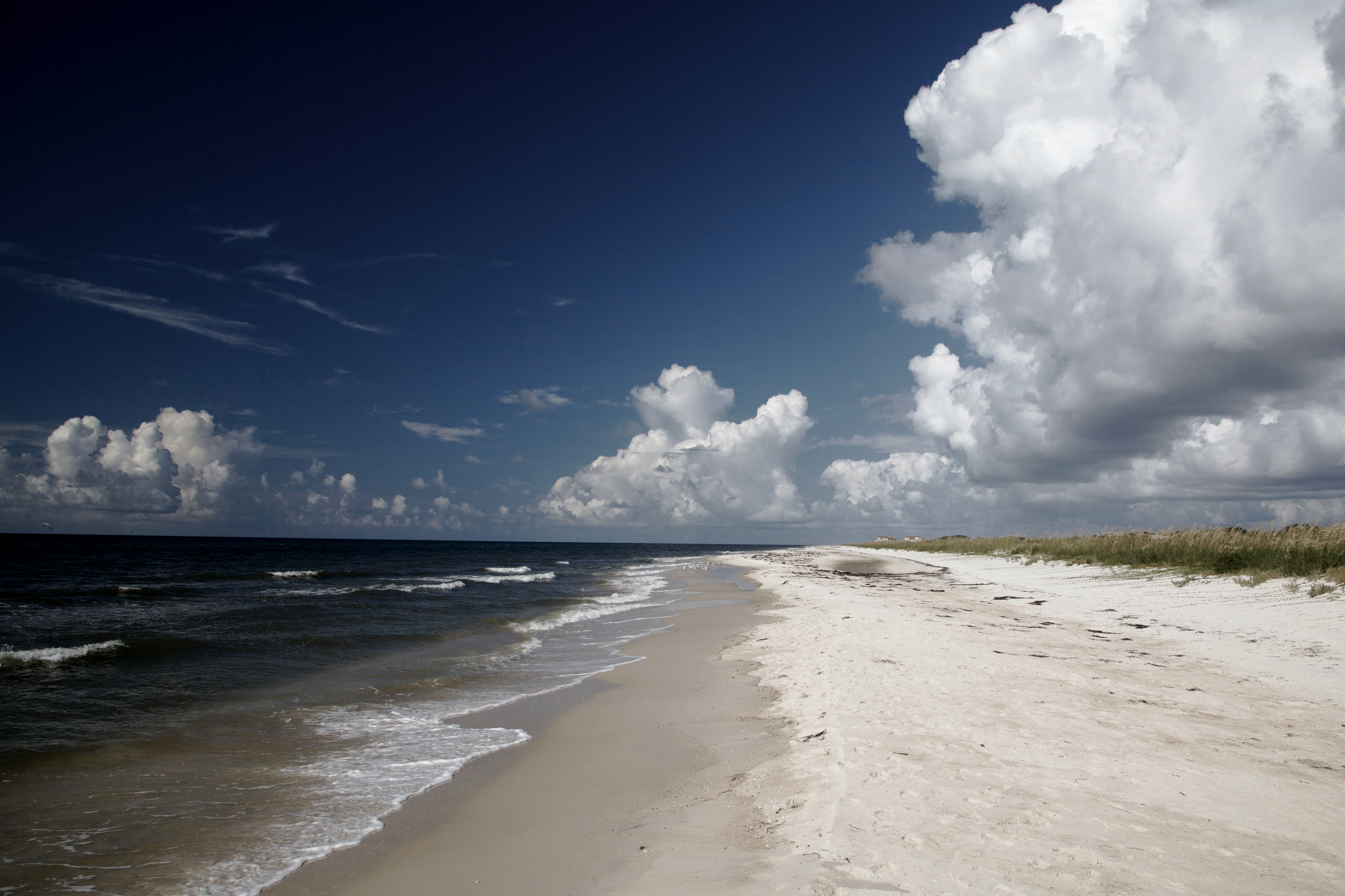 Detail Lingkungan Alam Pantai Nomer 8