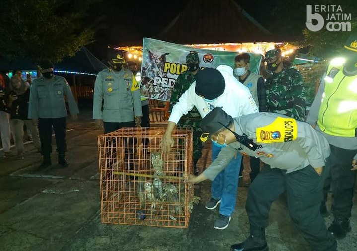 Detail Link Jebakan Hantu Nomer 32