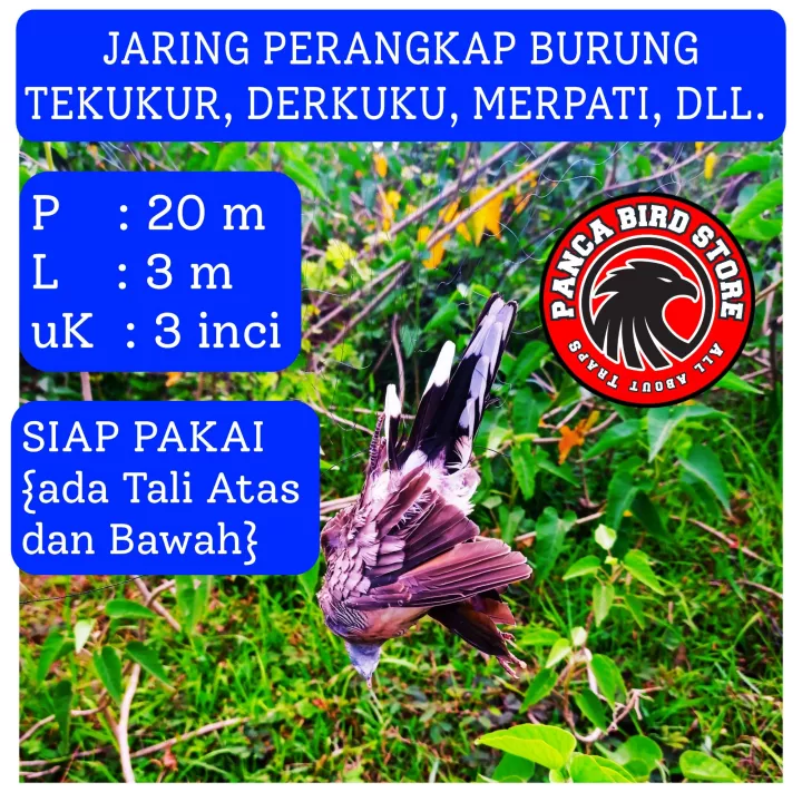 Detail Link Jebakan Hantu Nomer 33