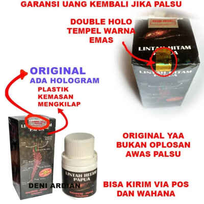 Detail Lintah Hitam Papua Asli Nomer 2