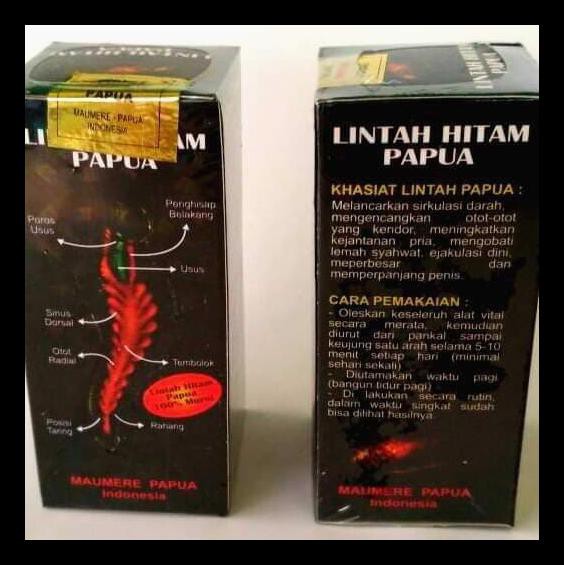 Detail Lintah Hitam Papua Asli Nomer 21