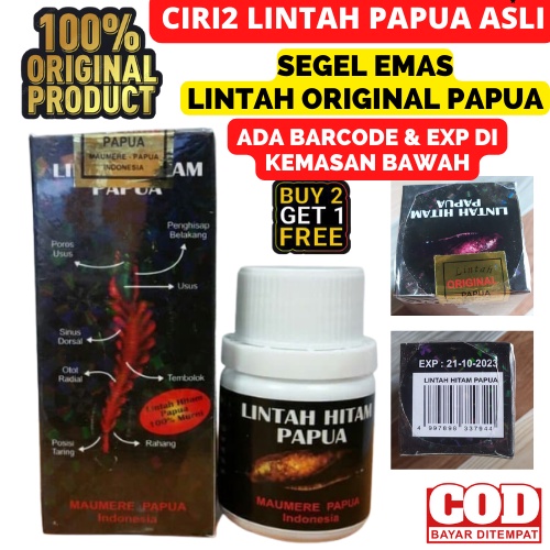 Detail Lintah Hitam Papua Asli Nomer 24