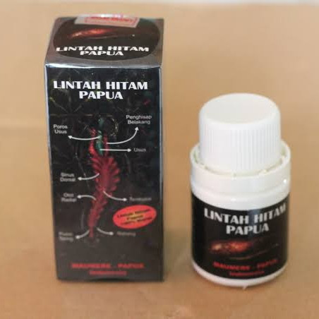 Detail Lintah Hitam Papua Asli Nomer 37