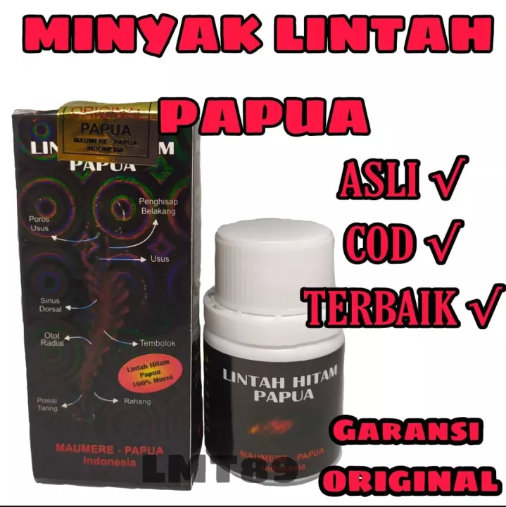 Detail Lintah Hitam Papua Asli Nomer 49