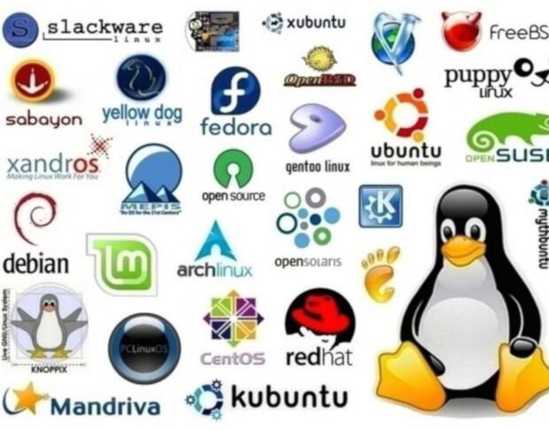 Detail Linux Distro Logos Nomer 25