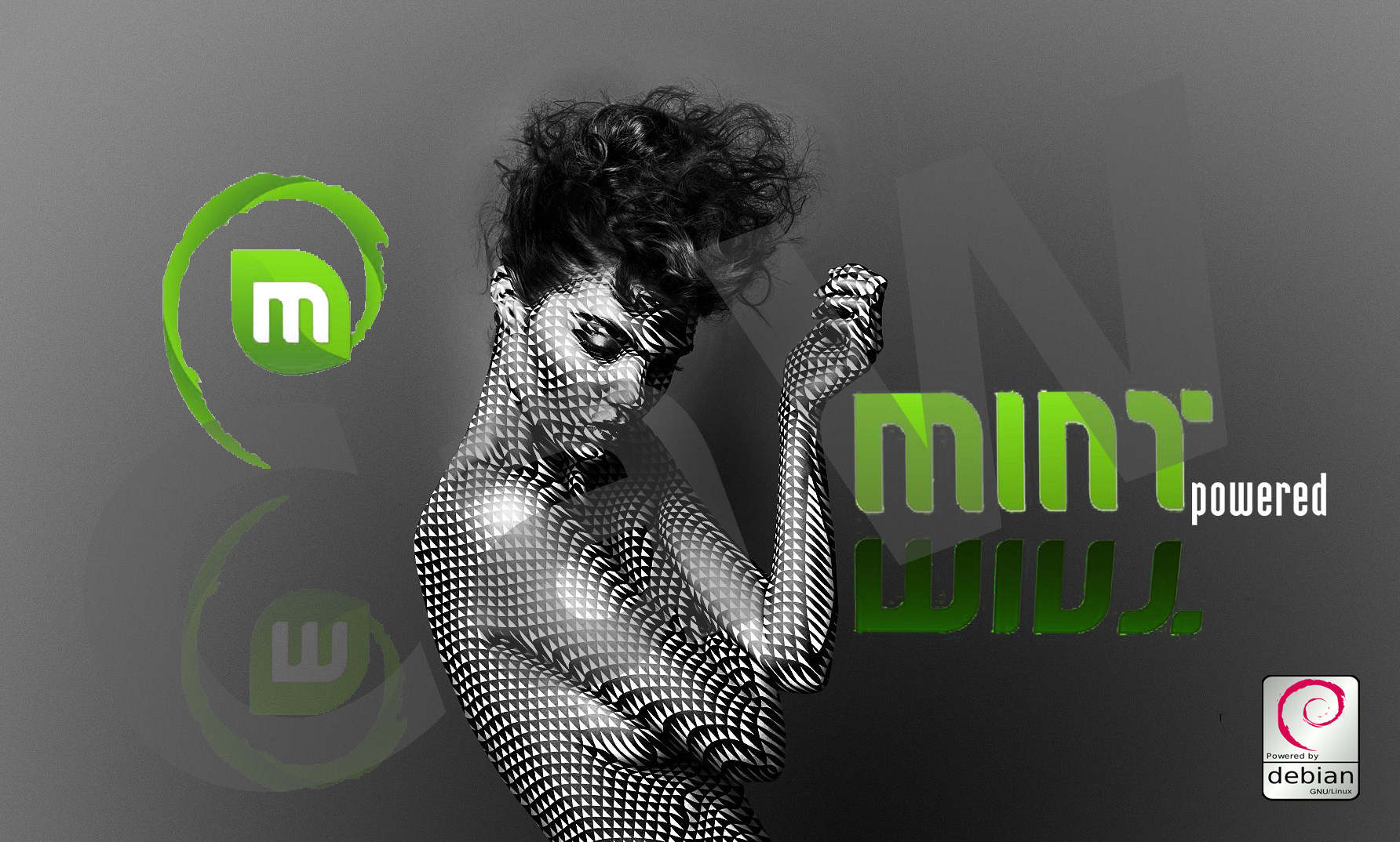 Detail Linux Mint Wallpaper Nomer 34