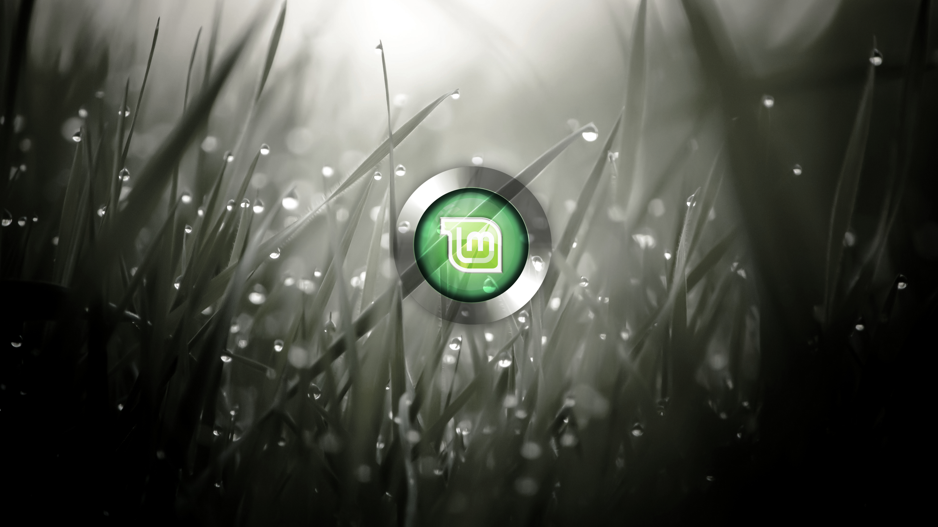 Detail Linux Mint Wallpaper Nomer 52